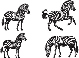 Zebra silhouette vector Illustrator 