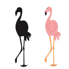 flamingo on white background vector