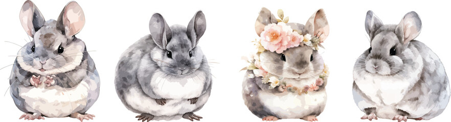 chincilla watercolor clipart
