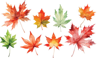 Fototapeta premium maple leaves watercolor clipart 