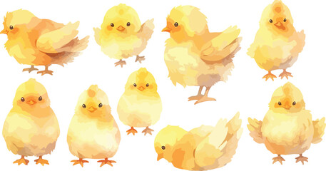  chick watercolor clipart
