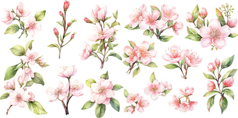 apple blossom watercolor clipart  © dian's