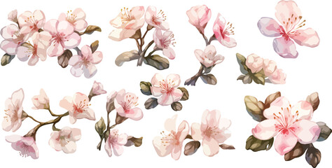 apple blossom watercolor clipart  © dian's