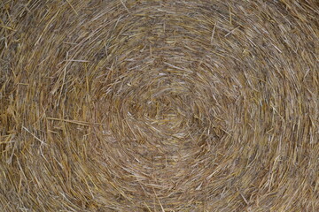 Heuballen