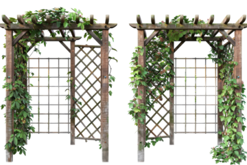Arboreal Artistry: Crafting with Garden Trellises Isolated On Transparent Background