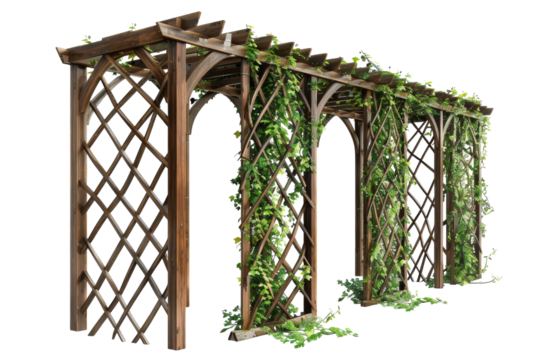 Enchanted Vines: The Beauty of Garden Trellises Isolated On Transparent Background