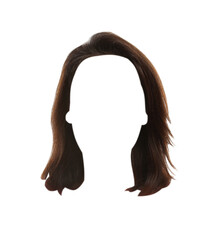 Beautiful female hairstyle with brown hair isolated on white