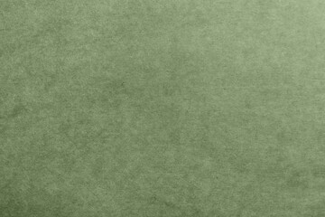 Sage green textured surface as background, closeup