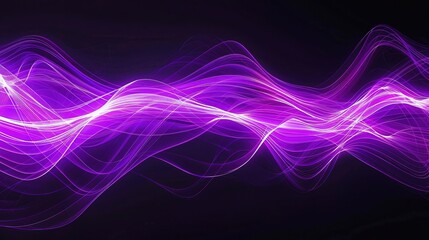 Obraz premium A modern wallpaper featuring electric purple wave lines that pulse with light and energy against a black backdrop, creating a sense of depth and movement.
