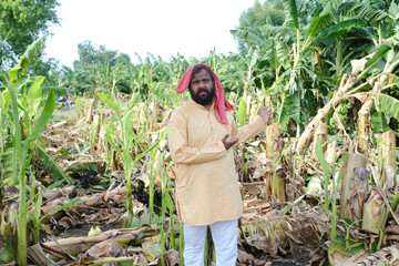  Indian Farmer Surveying Crop Destruction After Natural Disaster.