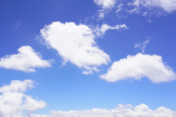 Fototapeta premium ふわふわの雲と青空