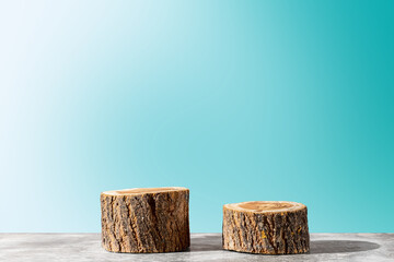 Two wooden stump round saw cuts on a soft blue gradient background.