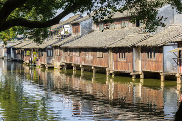 Obraz premium Tree branch over the Dongshi river in water town Wuzhen, China