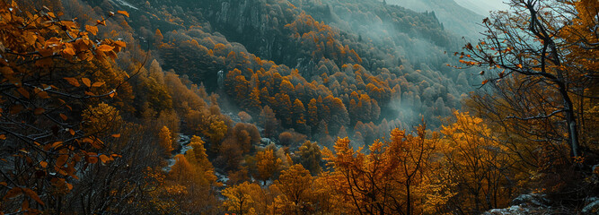 Panoramic view of forest in Carpathian Mountains, showcasing vibrant hues of fall foliage and misty atmosphere