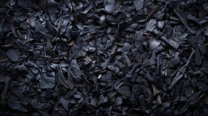 A pile of black, burnt wood