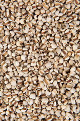 Job's tears  closed up texture and background