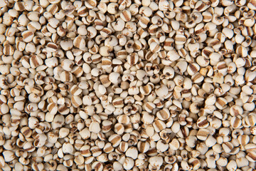 Job's tears  closed up texture and background