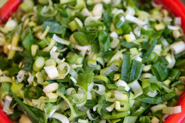 The slices of green onion