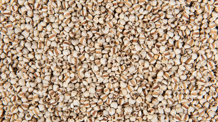 Job's tears  closed up texture and background