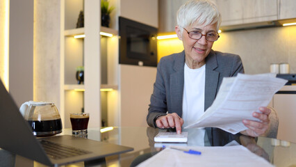 Senior woman calculating monthly costs at home