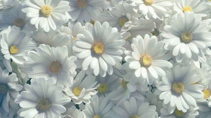 Fototapeta premium A serene close-up of numerous white daisies with yellow centers, creating a soft, calming floral texture.