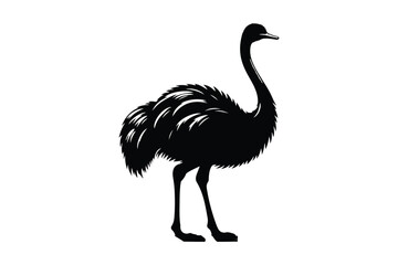 Ostrich vector silhouette illustration
