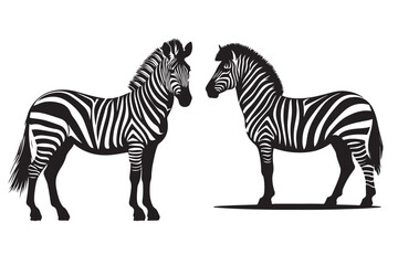 Fototapeta premium Zebra vector silhouette illustrationWeb