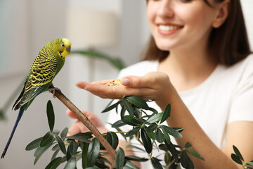 Woman feeding bright parrot indoors, closeup. Exotic pet © New Africa