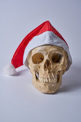 Human skull wearing a red and white Santa hat on a white background.