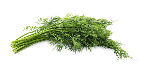 Fresh green dill branches isolated on white