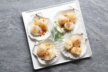 Raw scallops with spices, dill, lemon zest and shells on grey marble table, top view