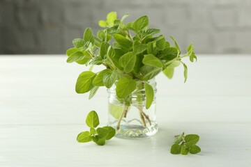 Sprigs of fresh green oregano in glass jar on white wooden table