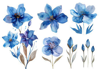 Obraz premium Set of watercolor blue flowers on a white backgroun