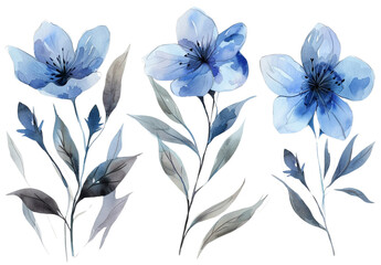 Fototapeta premium Set of watercolor blue flowers on a white backgroun
