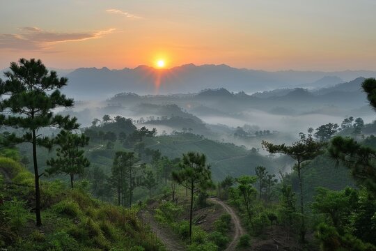 Embark on thrilling mountain hiking trails   nature s pathways to exciting adventures