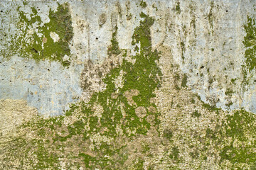 Wall texture, brick, plaster.