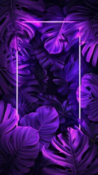 Retrowave glowing rectangle frame appears in the tropical palm tree zoom in.