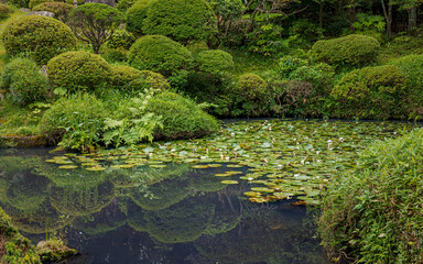 山形 鶴舞園 水辺の夏景色