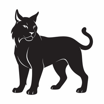 recommend clip art: Bobcat isolated on white background vector, illustration