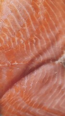red fish fillet salmon food
