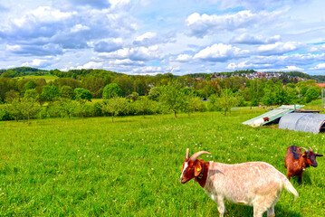 Blankenbach im Landkreis Aschaffenburg (Bayern)