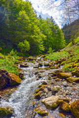 Wasserauen, Kanton Appenzell Innerrhoden (Schweiz)