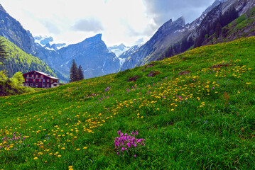 Der S&auml;ntis im Apsteingebirge, Kanton Appenzell Innerrhoden (Schweiz)
