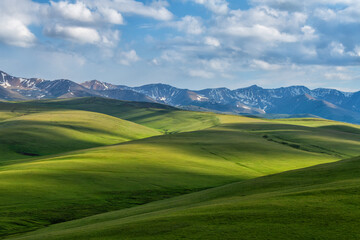 Obraz premium A picturesque high mountain plateau in the southeast of Kazakhstan in early summer