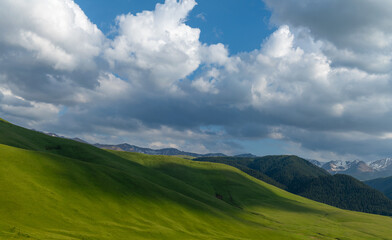 A picturesque high mountain plateau in the southeast of Kazakhstan in early summer