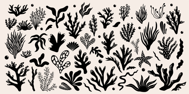 Abstract underwater plants shapes, forms, seaweed, algae, corals vector illustration design set. Different types of exotic marine flora decorative elements. Large collection of botanical funky doodles
