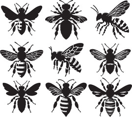 Africanized bee (killer bee) silhouette,  vector Bundle 