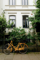 garden building plants outside bike