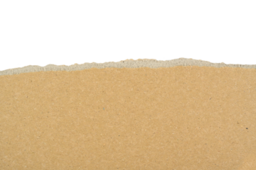 Cartón marrón rasgado sobre fondo blanco