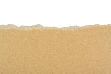 Cartón marrón rasgado sobre fondo blanco